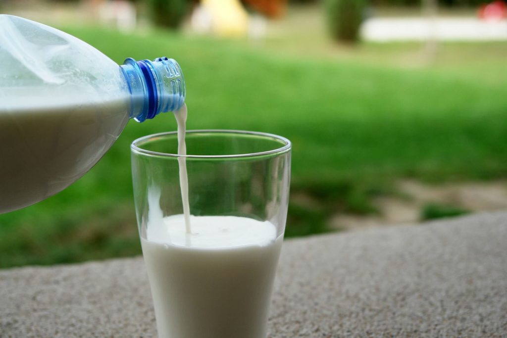 Козье молоко: польза и вред для здоровья