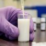 Призыв экспертов к выявлению антибиотиков в молоке