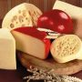 Французские сыроделы разработали новый сорт сыра для предприятия в Алтайском крае