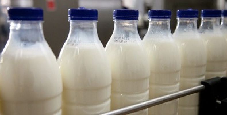 В Украине продолжает падать производство молока
