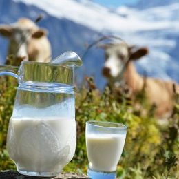 Молоко: интересные факты, о которых вы можете не знать