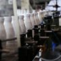Беларусь вынуждена поставлять в РФ дешевую молочную продукцию