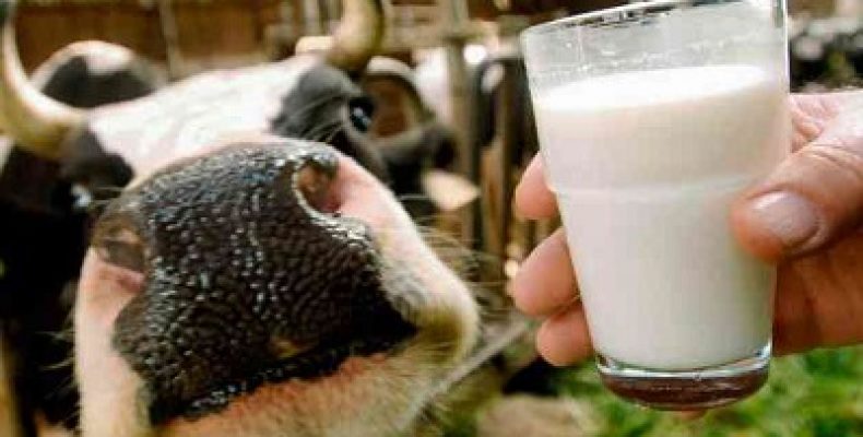 Производители молока в США ищут нестандартные способы поднять продажи