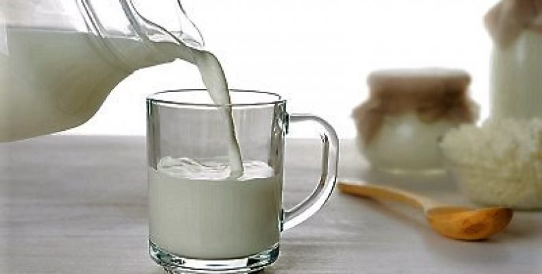 Производство белкового молока