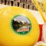 Сыроварня Марии Коваль реализует инвестпроект по производству сыров географического наименования