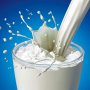 Цены на молоко и молочные продукты в Германии взлетели