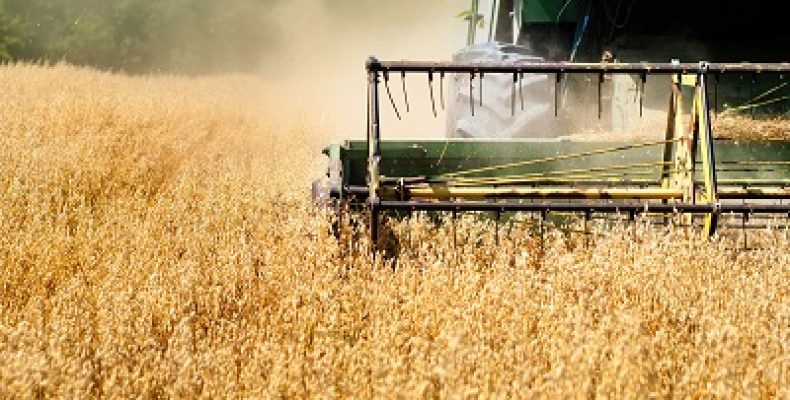 Как повлияет «торговая война» объявленная США на российской сельскохозяйственный рынок