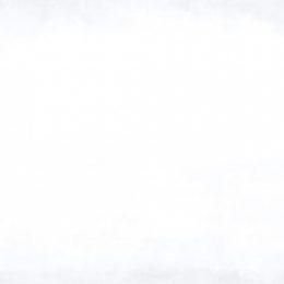 Плитка облицовочная Lasselsberger Парижанка белая 200 х 600 мм