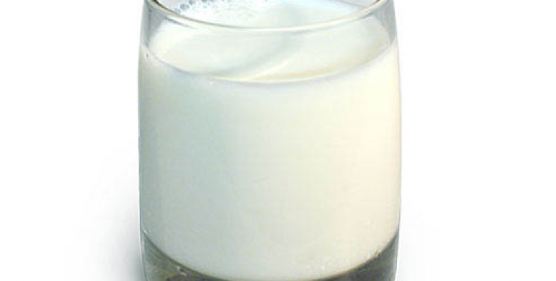 Чем полезно парное коровье молоко. Парное молоко: польза или вред?