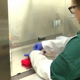 Из-за вспышки птичьего гриппа ввели режим ЧП в Калифорнии