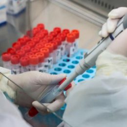 К пандемии COVID-19 привела утечка в лаборатории, заявили в Конгрессе США