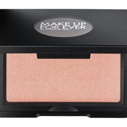 Make Up For Ever Artist Face Powders Blush Пудровые румяна для лица | B200 Цветок