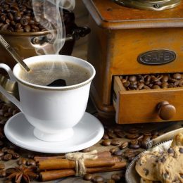 Кофемашина Melitta Caffeo Solo за 19999 рублей