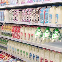 Пальмовое молоко или натуральное? Мнение специалистов
