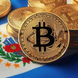 МВФ: власти Сальвадора не использовали госсредства на покупку биткоинов