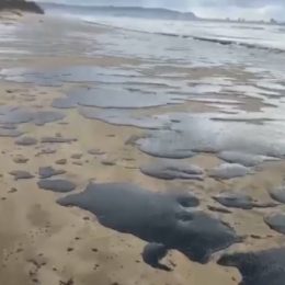 На побережье Чёрного моря ликвидируют последствия разлива нефтепродуктов