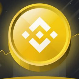 Начался обратный отсчёт до обновления сети BNB Chain под названием Pasteur