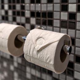 Как выбрать коврик для кошачьего туалета