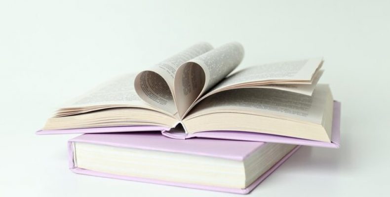 Nedorogie Redmibook для работы и учебы
