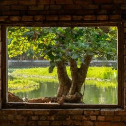 Как обмануть Windows Hello с помощью ИК фото