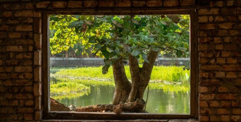 Как обмануть Windows Hello с помощью ИК фото