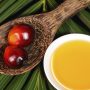 Потребителей хотят информировать о содержании пальмового масла в молоке «крупными буквами»