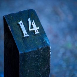 Скидки 137 на товары в интернет-магазинах