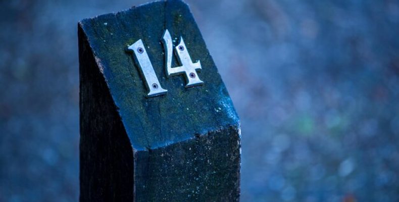 Скидки 137 на товары в интернет-магазинах