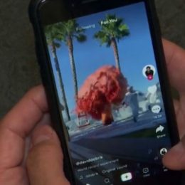Трамп: Возможно, стоит оставить платформу TikTok в США