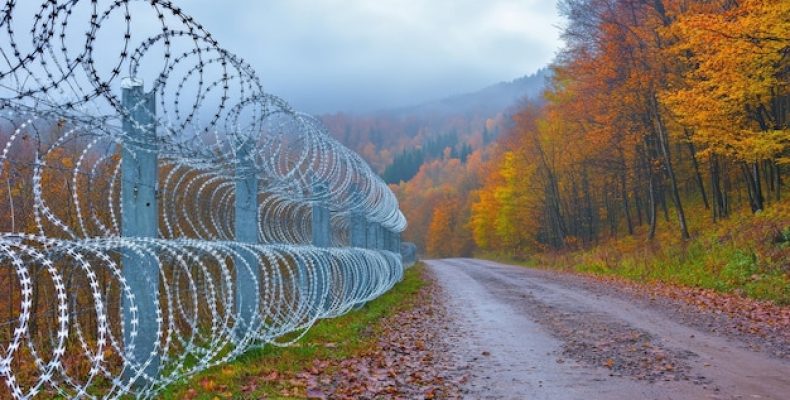 Трейлеры ко второму сезону Великой шоу