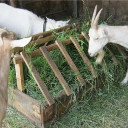Виды кормушек для коз и как их изготовить. Как сделать кормушку для козы своими руками